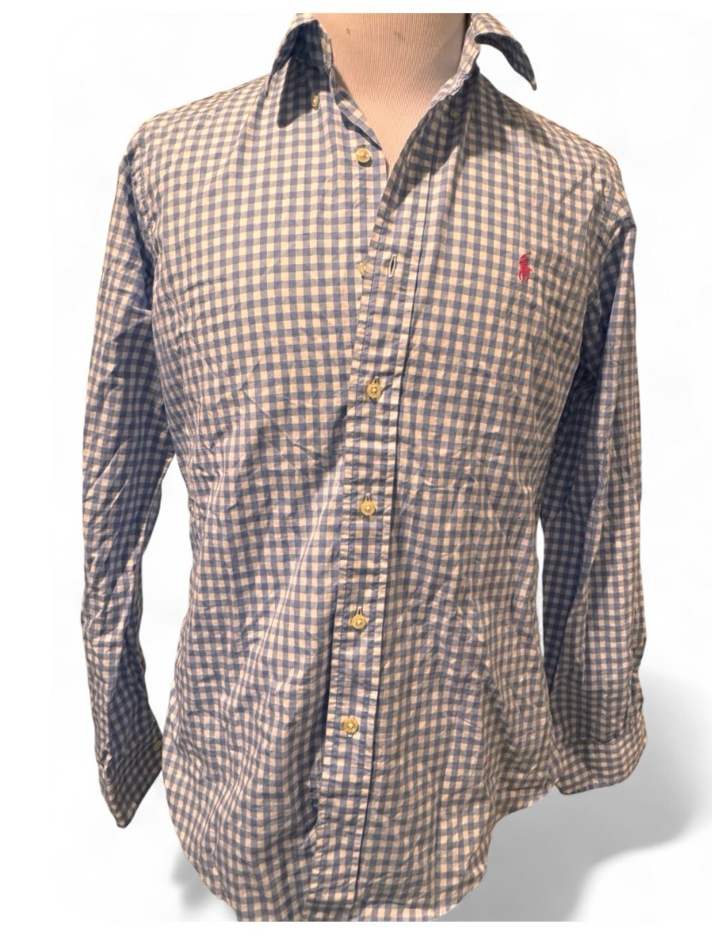 Polo by Ralph Lauren Blue and White Gingham Button-Down Shirt M